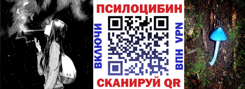 Псилоцибиновые грибы Psilocybine cubensis  Очёр 